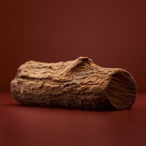 Moules à buche