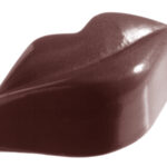 POLYCARBONATE MOLD LIPS