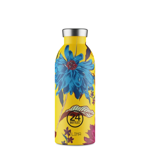 CLIMA BOTTLE 500ML ASTER